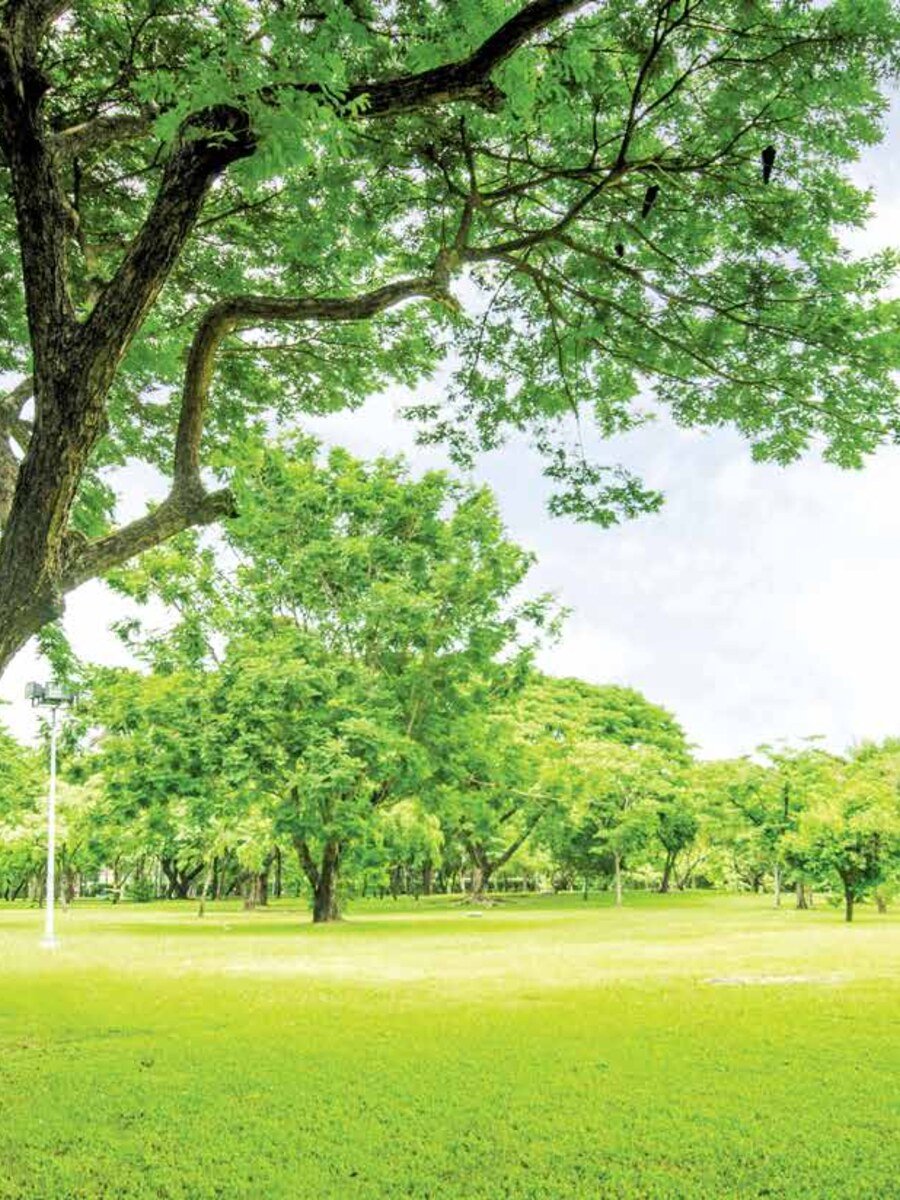 Landscaped greens